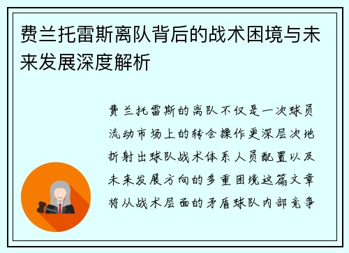 费兰托雷斯离队背后的战术困境与未来发展深度解析