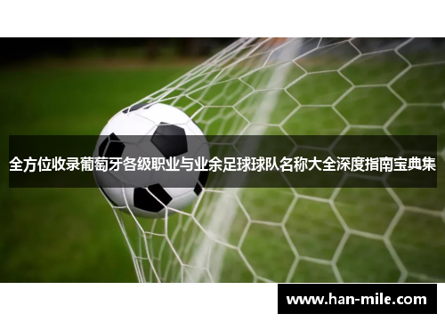 全方位收录葡萄牙各级职业与业余足球球队名称大全深度指南宝典集 全方位收录葡萄牙各级职业与业余足球球队名称大全深度指南宝典集