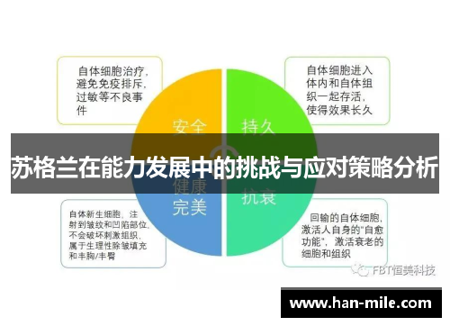 苏格兰在能力发展中的挑战与应对策略分析