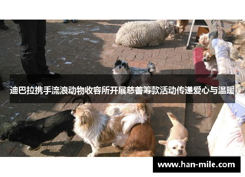 迪巴拉携手流浪动物收容所开展慈善筹款活动传递爱心与温暖